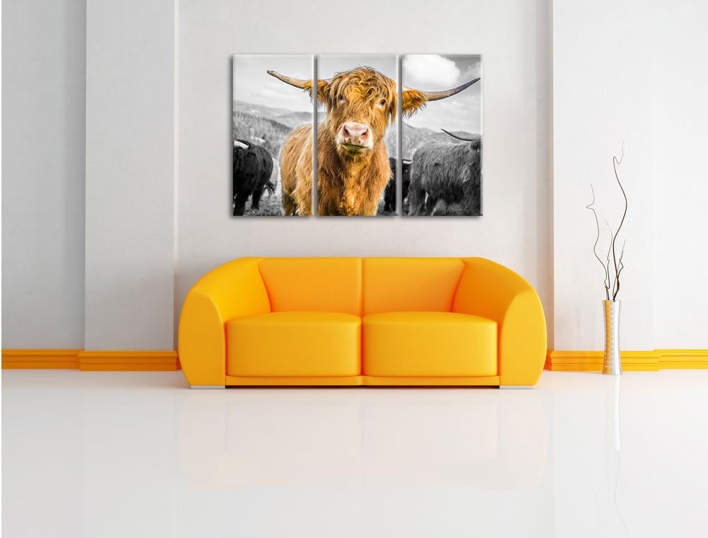 Pixxprint Niedlicher Blick Einer Kuh an der Weide B&W Detail 3-Teiler Leinwandbild 120x80 Bild auf L