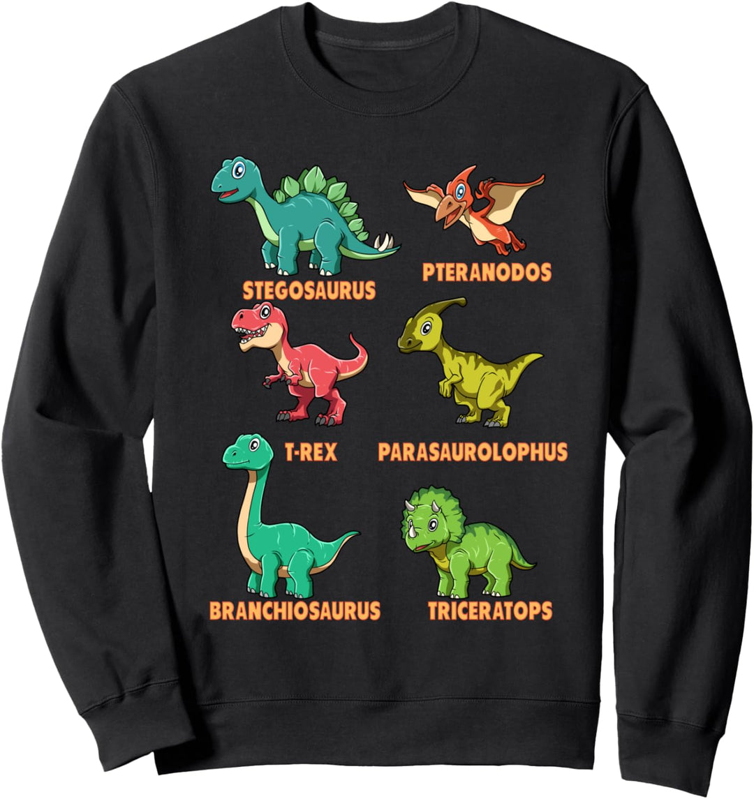 Meine Lieblings-Dinosaurier Sweatshirt