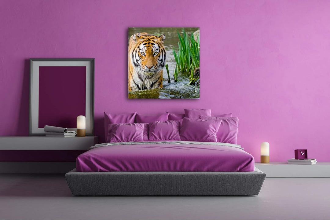 deyoli anmutiger Tiger im Wasser Format: 70x70 als Leinwandbild, Motiv fertig gerahmt auf Echtholzra