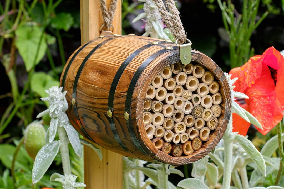 Wildlife World Bienenfass für Einzelbienen Einzelbett, Einzelbett