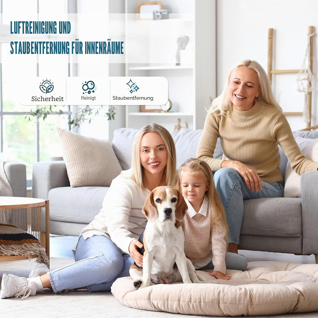 3 Stück Indoor Luftreinigung Staub Entfernung Magic Box,Multifunktionale Lufterfrisch Staubfänger Fü