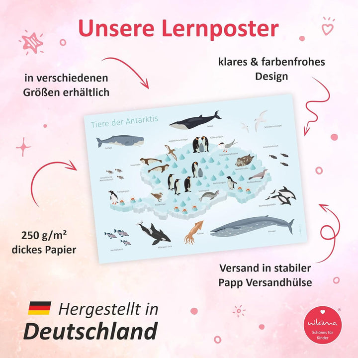Kinder Lernposter - Tiere der Antarktis - in 3 Grössen - Wal Delfin Pinguin Robbe Südpol Wanddeko Ki