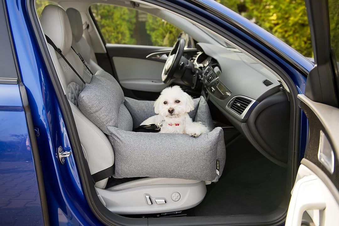 Luxuriös Hunde Auto Sitz | Autositz für Hunde, Rückbank, Vordersitz | Universal Waschbar Hundeautosi