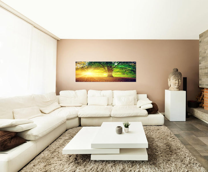 Paul Sinus Art Panoramabild auf Leinwand und Keilrahmen 120x40cm Bäume Park Herbst Blätter Sonnenstr