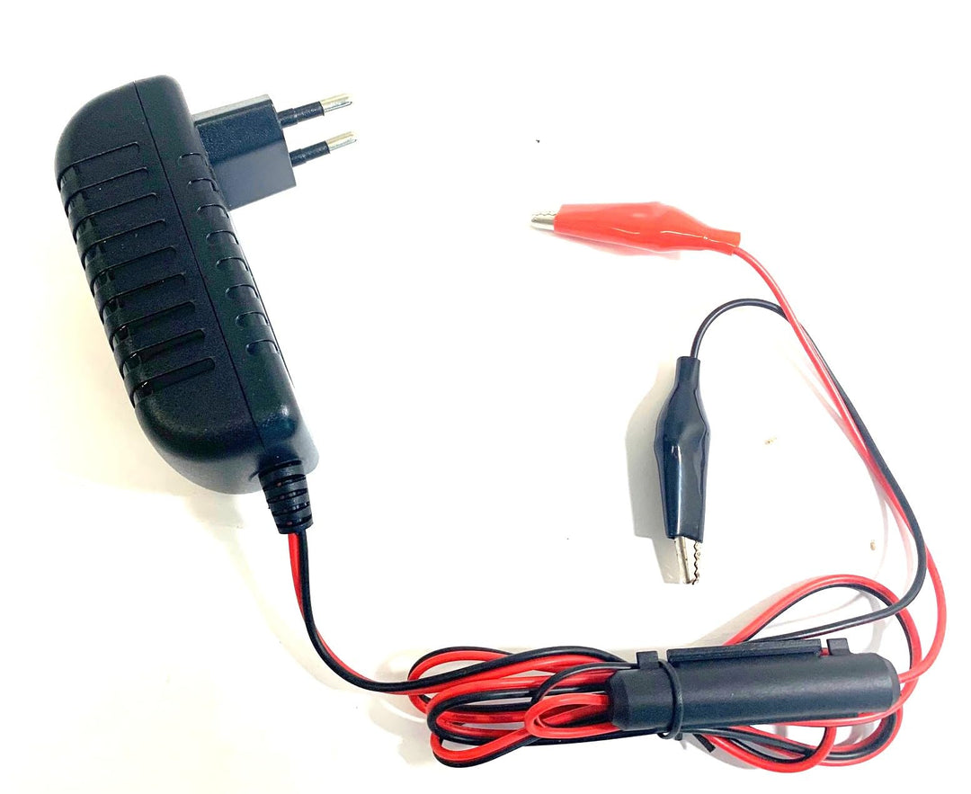 Enerpower Steck Ladegerät 4S 14,6V für LiFePo4, AGM Akkus 12V (12,8V) 2A Krokodile