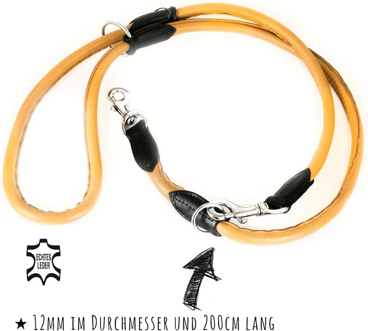 Monkimau Hundeleine Führleine für Hunde aus echt Leder verstellbar beige, beige