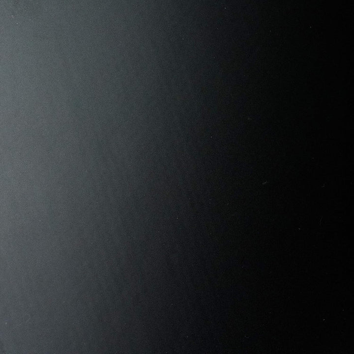 Butterfly Timo Boll Vision 3000