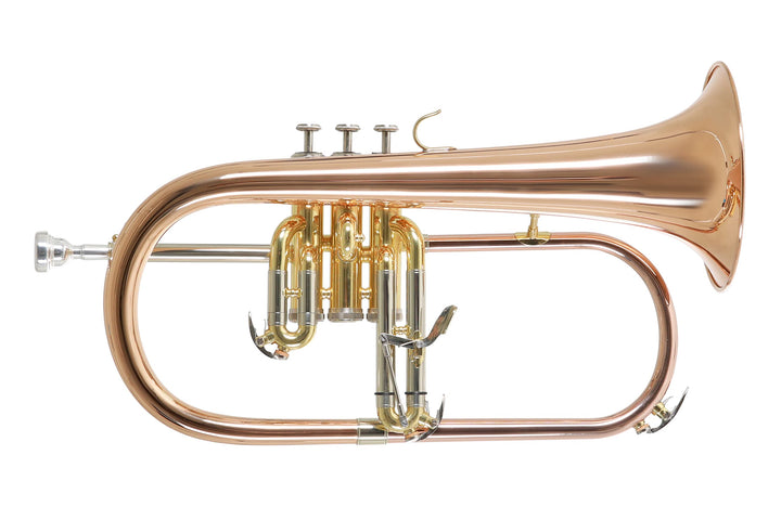 Roy Benson Bb Flügelhorn MOD.FH-302G Goldmessing Schall, inkl. Etui, FH-302G