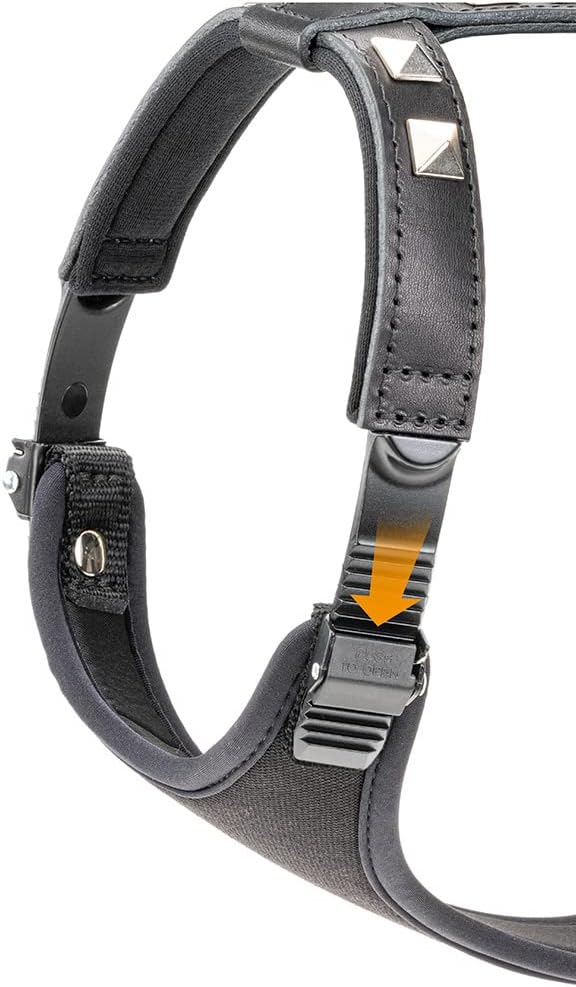 Ferplast Hundegeschirr kleine Hunde GIOTTO LUXOR SMALL, aus echtem Leder mit silbernen Nieten, Halsu