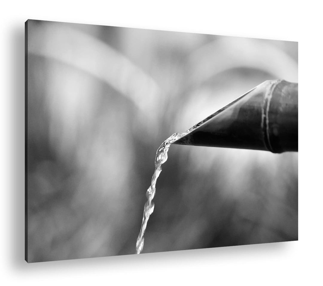 deyoli japanisches Wasserrohr aus Bambus Effekt: Schwarz&amp;Weiss,Format: 80x60 als Leinwandbild, Motiv