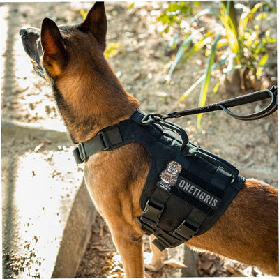 OneTigris Hundegeschirr, Gladiator Einstellbar Sicherheitsgeschirr für Grosse Mittlere Hunde No Pull