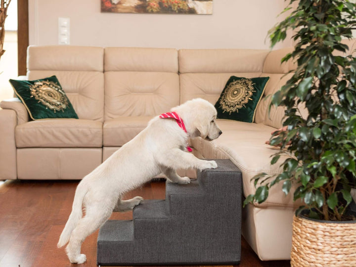 Hundetreppe, Katzentreppe, Antirutsch und Beständig - Haustiertreppe mit 4 Stufen für kleine Hunde -