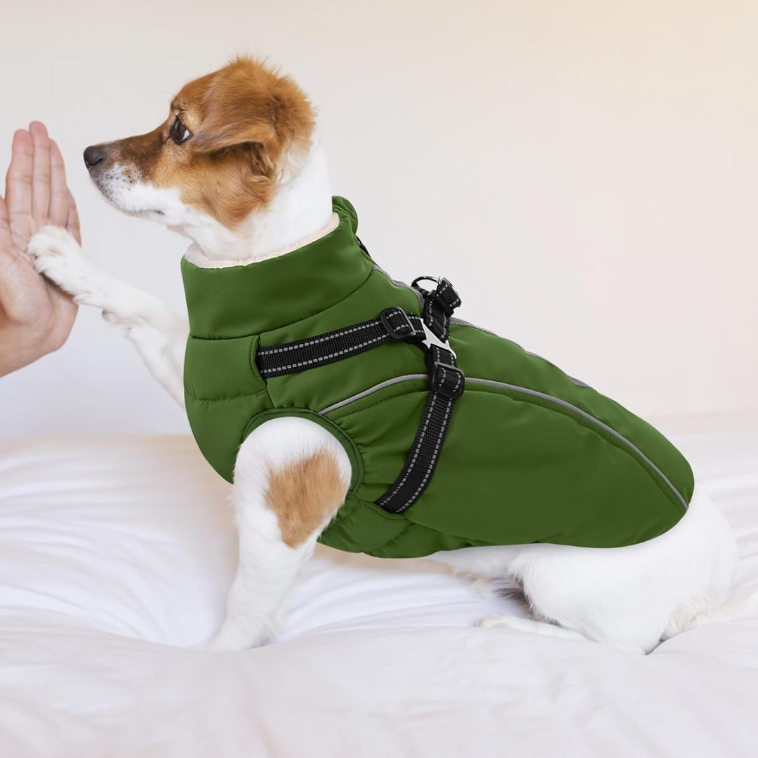 Hundemantel Hundejacke Warm Wintermantel mit Reissverschluss Winddichte &amp; Winddichte mit Reflektorst