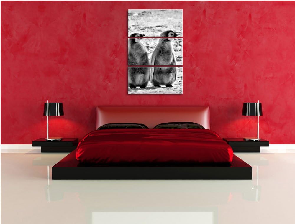 Pixxprint Monocrome, Vier Kaiserpinguin-Küken 3-Teiler Leinwandbild 120x80 Bild auf Leinwand