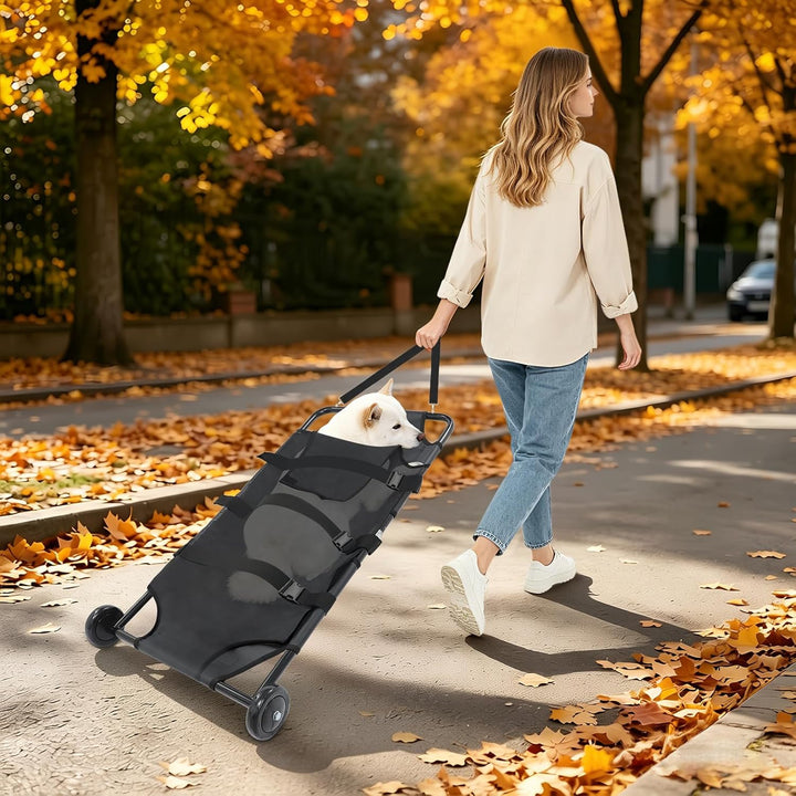Hundetragetasche, 115x56x13cm Tragbare Zusammenklappbare Hundetrage für grosse Hunde, Transporttrage