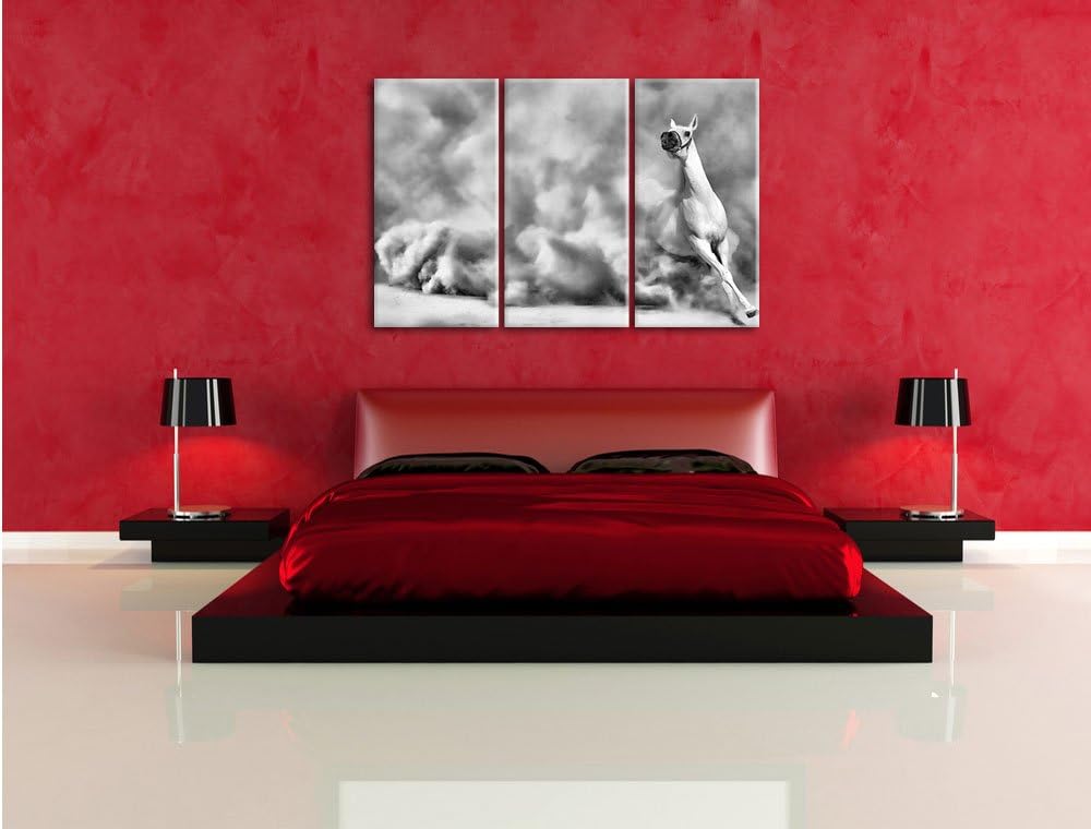 Pixxprint weisses Pferd in der Wüste als Leinwandbild/Grösse: 3 Teilig (120x80) cm/Wandbild/Kunstdru