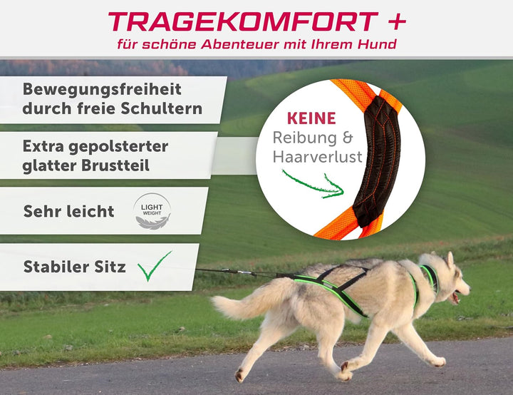 LASALINE Hunde Zuggeschirr X Back für Canicross Hundesport Dogscooter Bikejöring Schlitten in Schwar