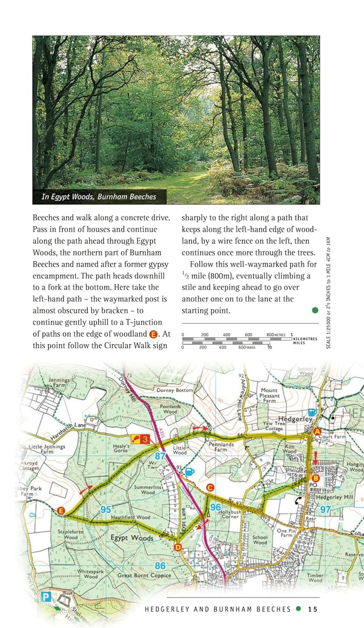 Thames Valley & Chilterns (Pathfinder Guides), Taschenbuch