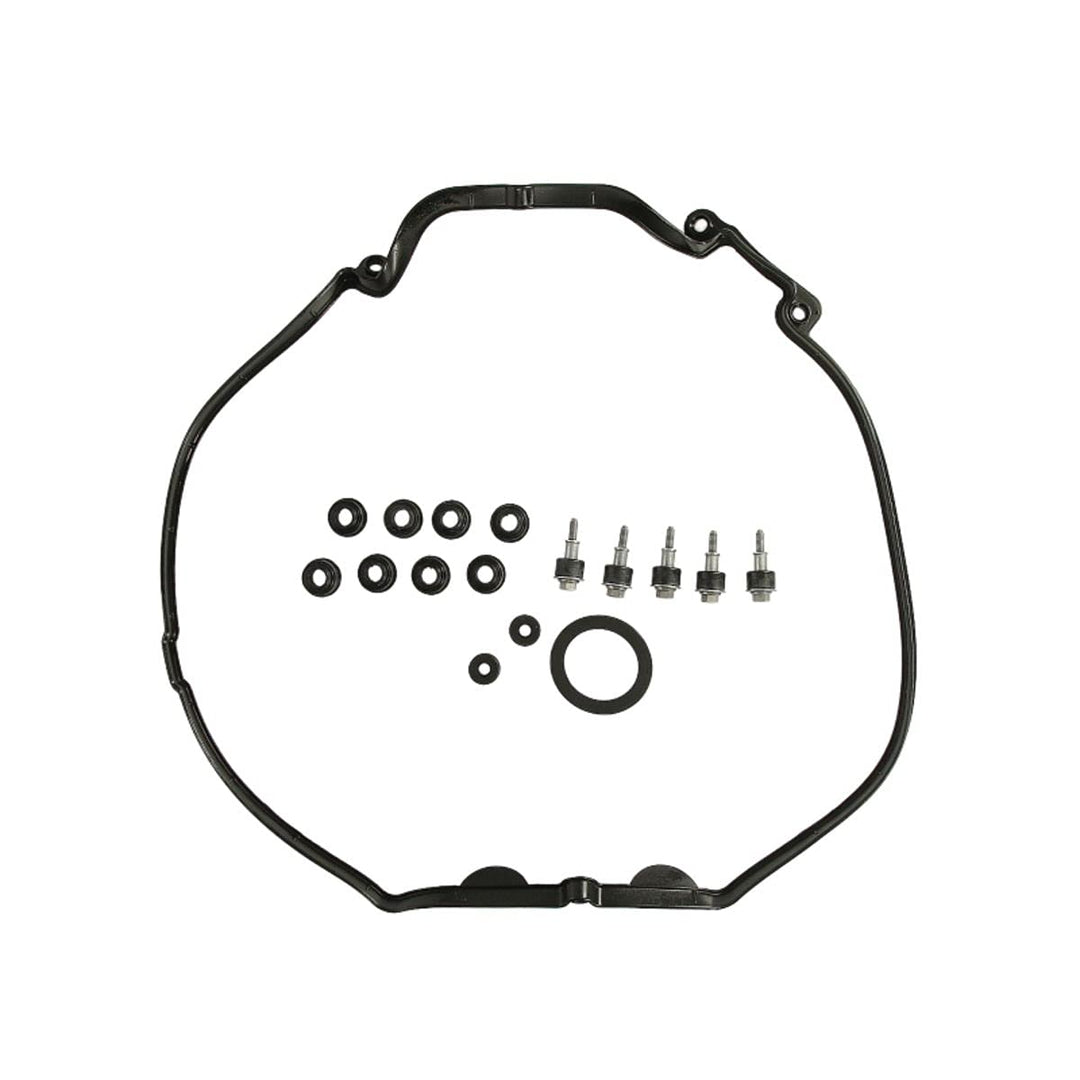 Payen HM5296 Dichtungssatz, Zylinderkopfhaube