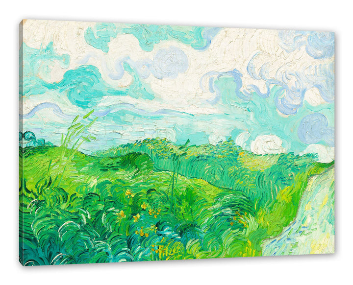 Vincent Van Gogh - Feld mit grünem Weizen als Leinwandbild / Grösse: 100x70 cm / Wandbild / Kunstdru