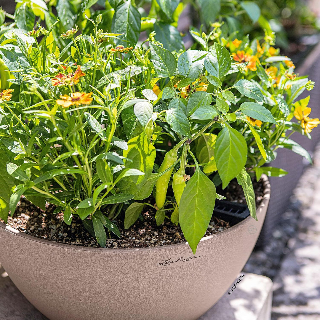 LECHUZA CUBETO Stone 40 sandbeige 13841 40x40x18.3 cm Sandbeige, 40x40x18.3 cm Sandbeige