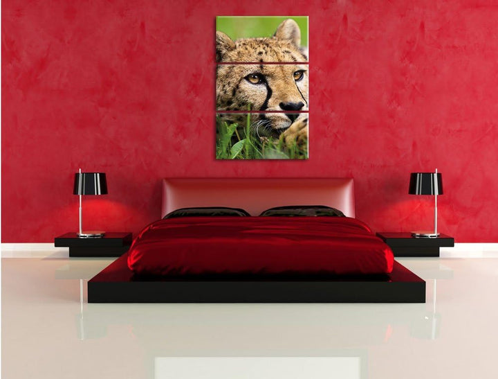 Pixxprint Gepard im Gras als Leinwandbild/Grösse: 3 Teilig (120x80) cm/Wandbild/Kunstdruck/fertig be