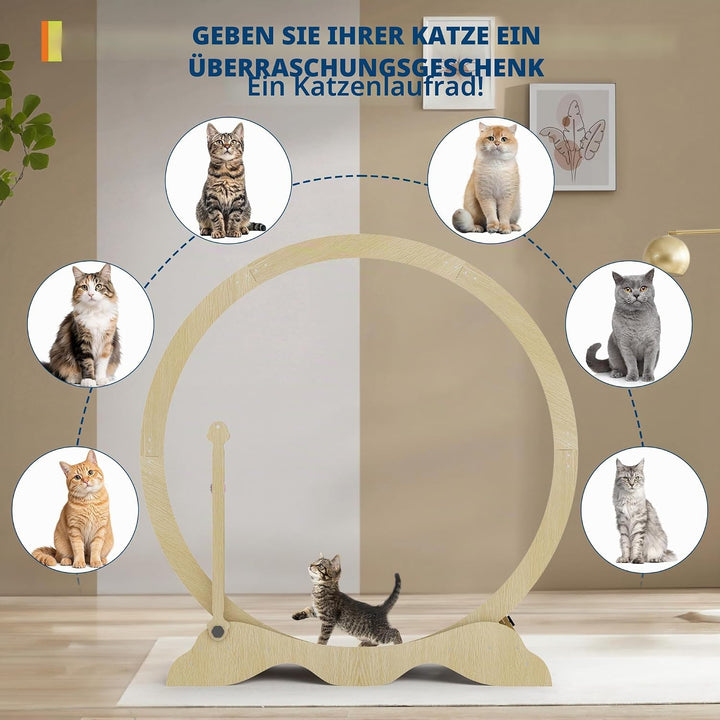 Katzenlaufrad 115cm für Indoor-Katzen - Laufband mit abnehmbarem Teppich, Sicherheitssperre und Spie