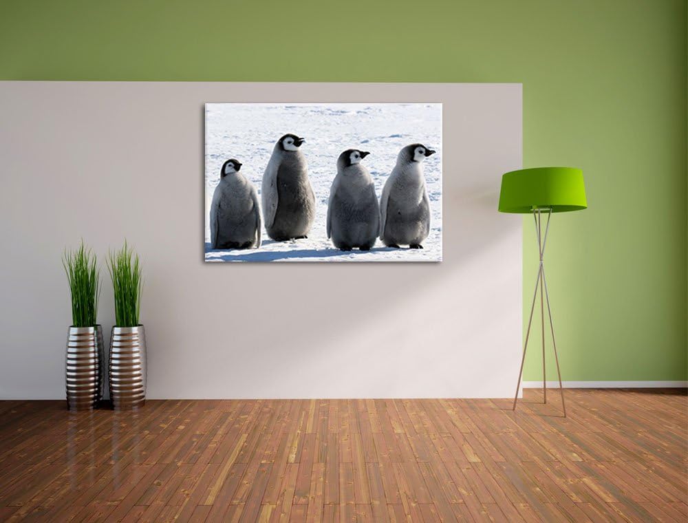 vier Kaiserpinguinküken Leinwand, XXL riesige Bilder fertig gerahmt mit Keilrahmen, Kunstdruck auf W