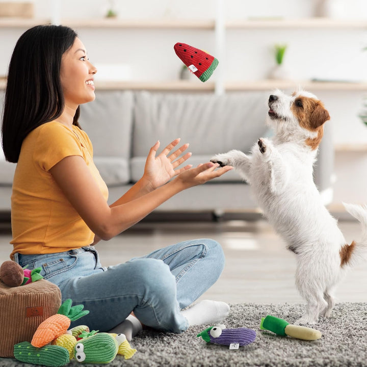 Nocciola 15-er Set Verstecken und Suchen Quietschspielzeug für Hunde, Interaktives Hundespielzeug fü