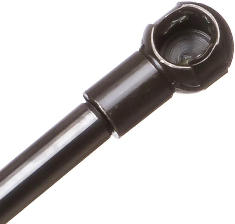 Boxi 2 Pcs Trunk Deckel Gas geladen Lift unterstützt Streben Schocks Spring Dämpfer für 2001–2006 Le