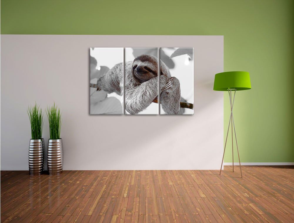 Pixxprint schönes Faultier hängt von AST als Leinwandbild/Grösse: 3 Teilig (120x80) / Wandbild/Kunst