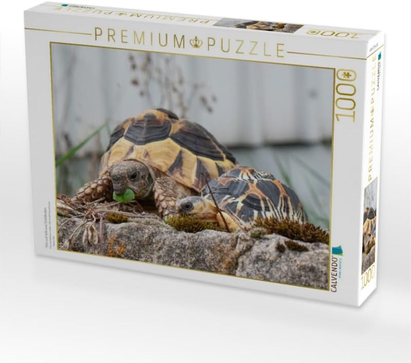 CALVENDO Puzzle Fritz und Willi Zwei Schildkröten 1000 Teile Lege-Grösse 64 x 48 cm Foto-Puzzle Bild
