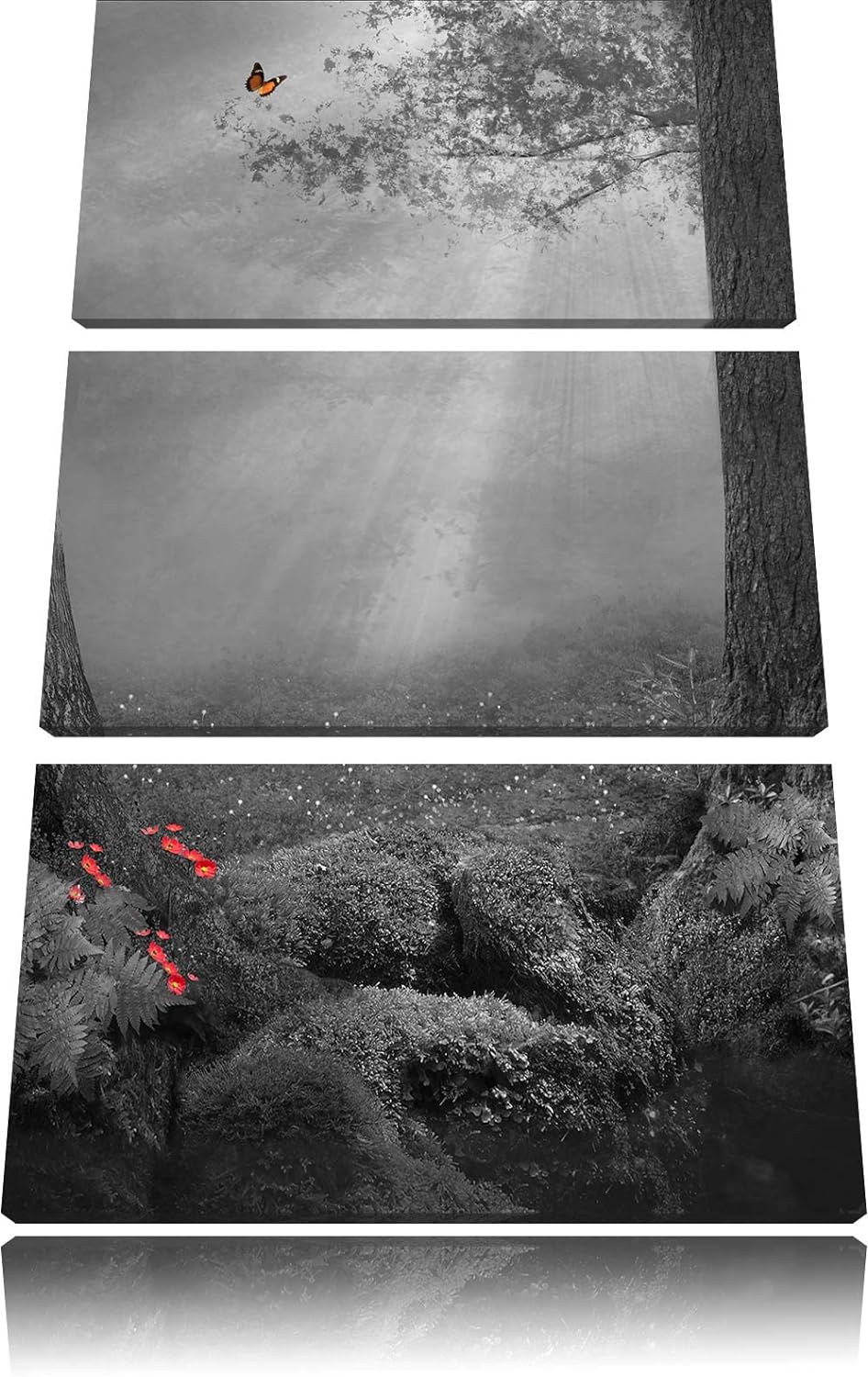 Märchenwald mit Schmetterling schwarz/weiss 3-Teiler Leinwandbild 120x80 Bild auf Leinwand, XXL ries