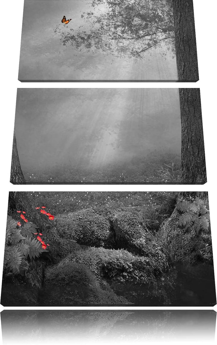 Märchenwald mit Schmetterling schwarz/weiss 3-Teiler Leinwandbild 120x80 Bild auf Leinwand, XXL ries