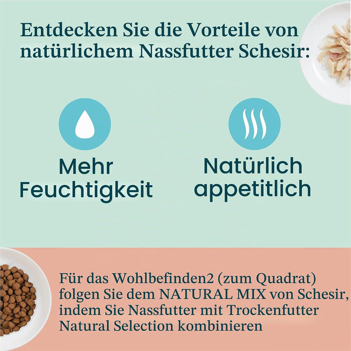 Schesir Cat Jelly Kitten Hühnerfilet mit Aloe Vera, Katzenfutter nass für Kätzchen in Gelee, 24 Dose