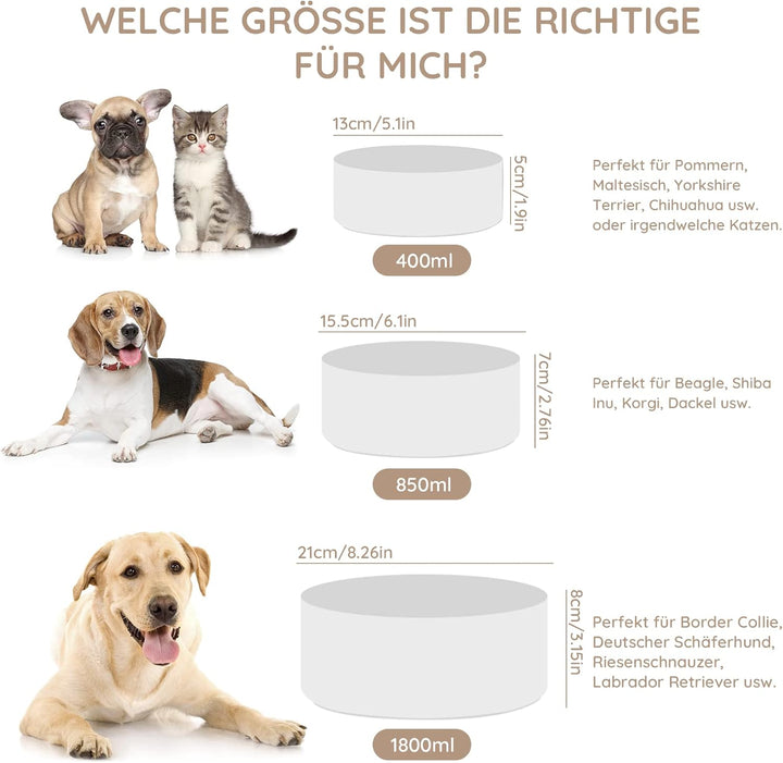 SPUNKYJUNKY Keramik Futternapf mit Bambus Ständer für Katzen und kleine Hunde (400ml, Weiss-Einzel)