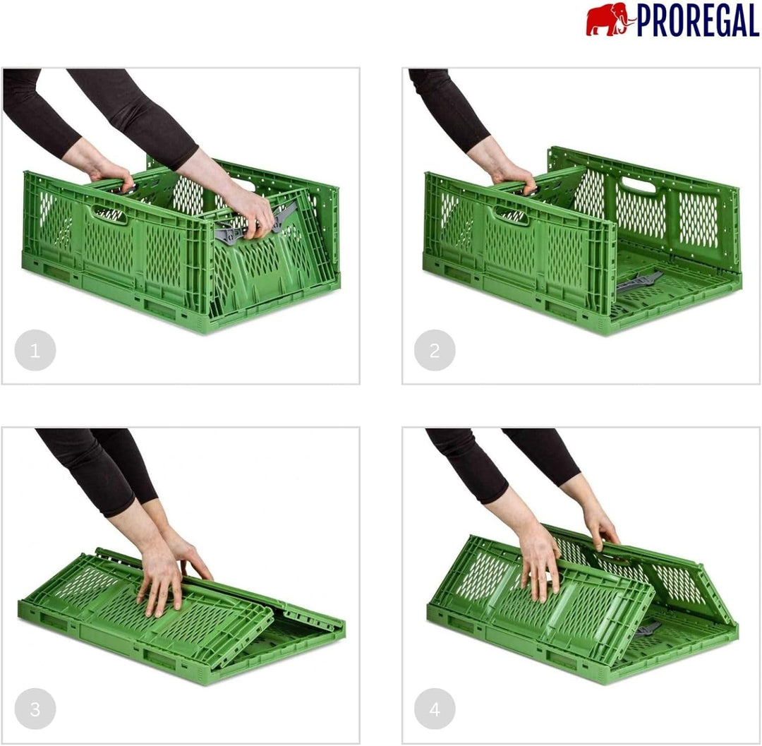 PROREGAL Stabile Profi-Klappbox Chameleon in Industriequalität | HxBxT 18x30x40cm | 17 Liter | klapp