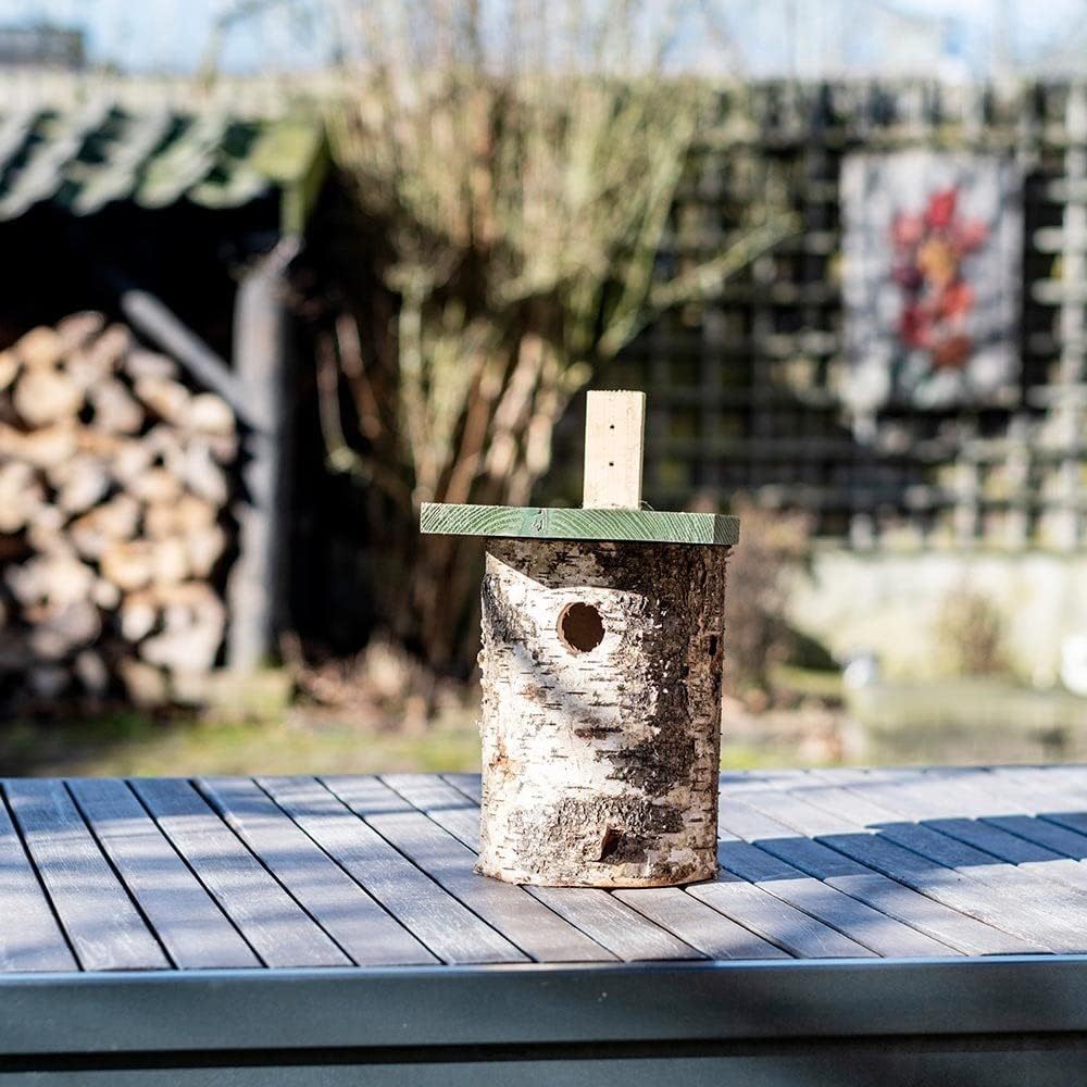 CJ Wildlife Nistkasten – Vogelnistkasten für draussen – Birke FSC® 100% – 32 mm Einflug – für Kohlme