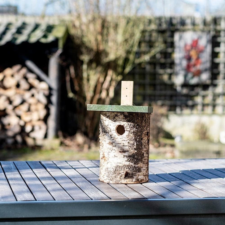 CJ Wildlife Nistkasten – Vogelnistkasten für draussen – Birke FSC® 100% – 32 mm Einflug – für Kohlme