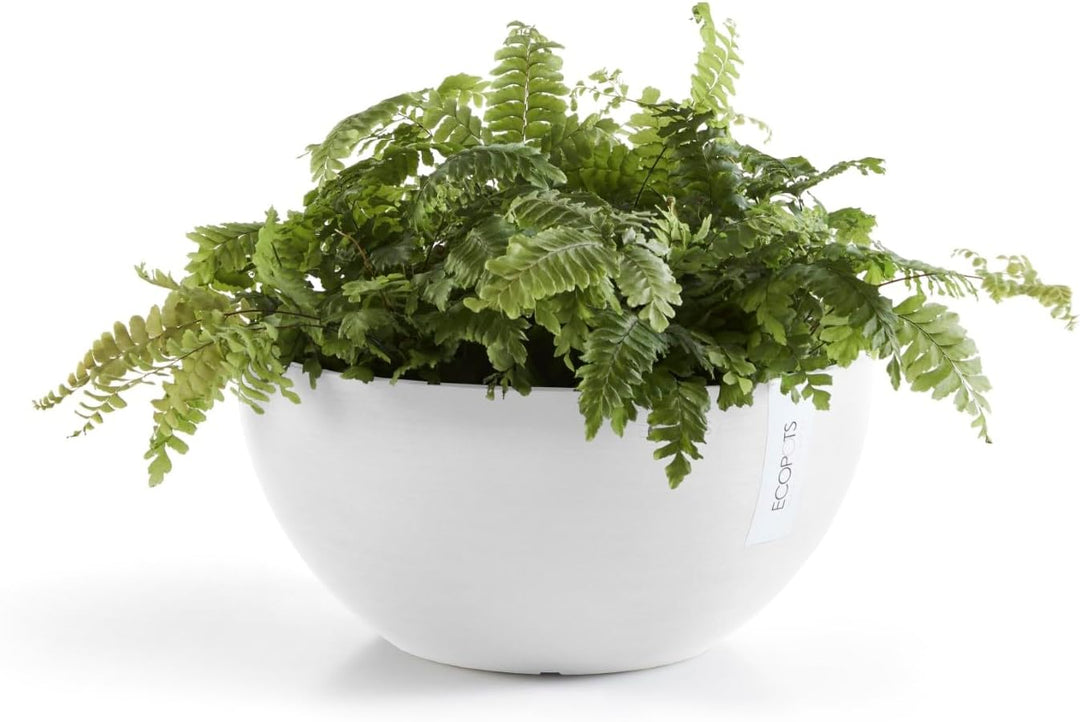 ECOPOTS Pflanzschale Blumentopf Brüssel Weiss - Durchmesser Ø 35 cm rund gross - Pflanzentopf aus Re