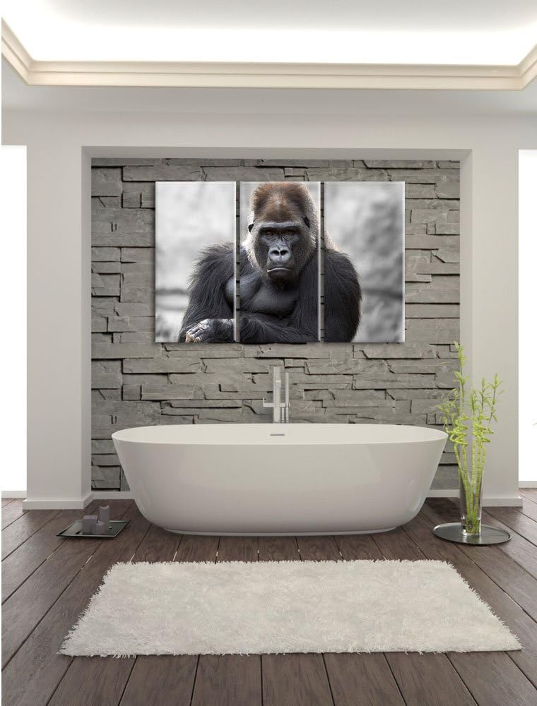 Pixxprint gelangweilter Gorilla als Leinwandbild/Grösse: 3 Teilig (120x80) cm/Wandbild/Kunstdruck/fe
