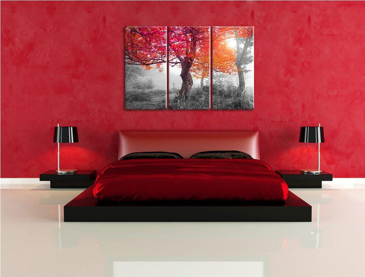 Zauberhafte Waldlandschaft schwarz/weiss 3-Teiler Leinwandbild 120x80 Bild auf Leinwand, XXL riesige
