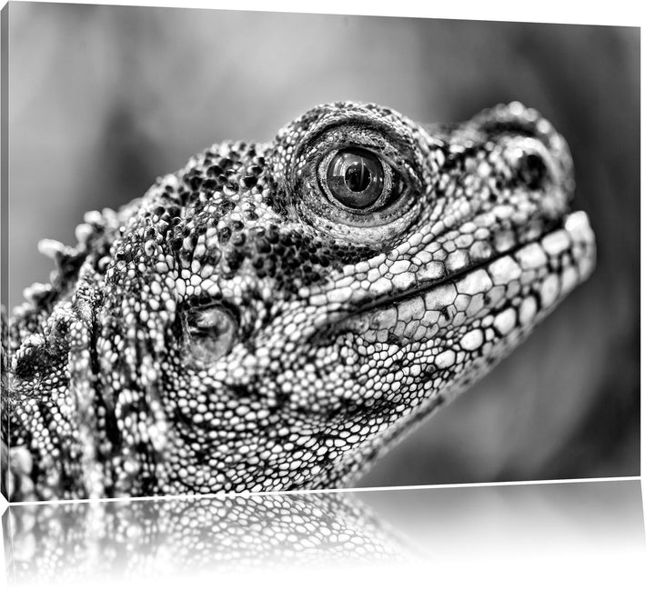 Pixxprint grosser Schuppenwaran als Leinwandbild/Grösse: 100x70 / Wandbild/Kunstdruck/fertig bespann