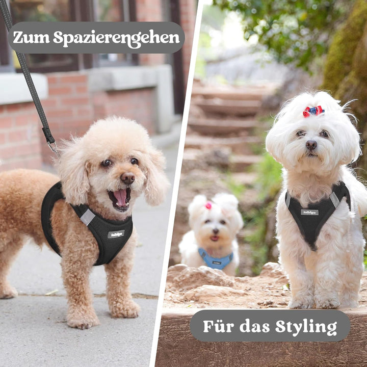 rabbitgoo Hundegeschirr Kleine Hunde, Step-in Welpengeschirr Weich Mesh für Spaziergänge, Atmungsakt