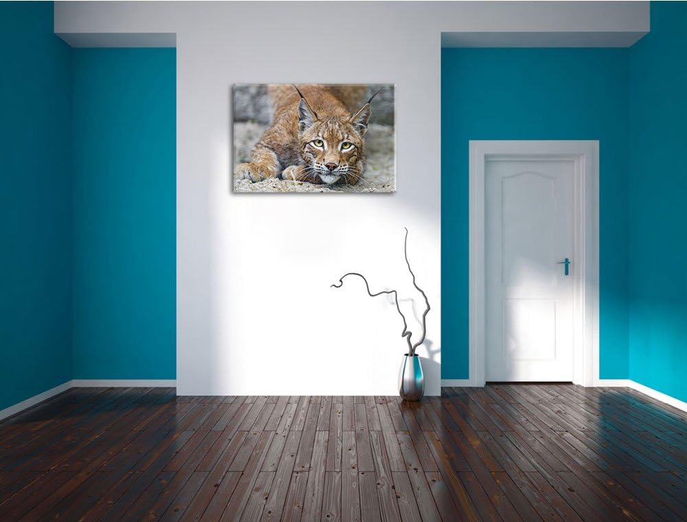 Pixxprint wachsamer Luchs auf Leinwand, XXL riesige Bilder fertig gerahmt mit Keilrahmen, Kunstdruck