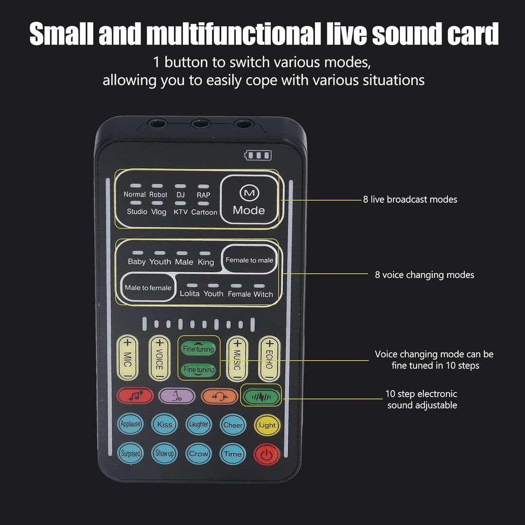 Dpofirs Tragbarer Sprachwechsler, Handheld-Mikrofon-Sprachwechsler mit Sound Multifunktionale Effekt