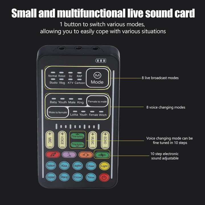 Dpofirs Tragbarer Sprachwechsler, Handheld-Mikrofon-Sprachwechsler mit Sound Multifunktionale Effekt