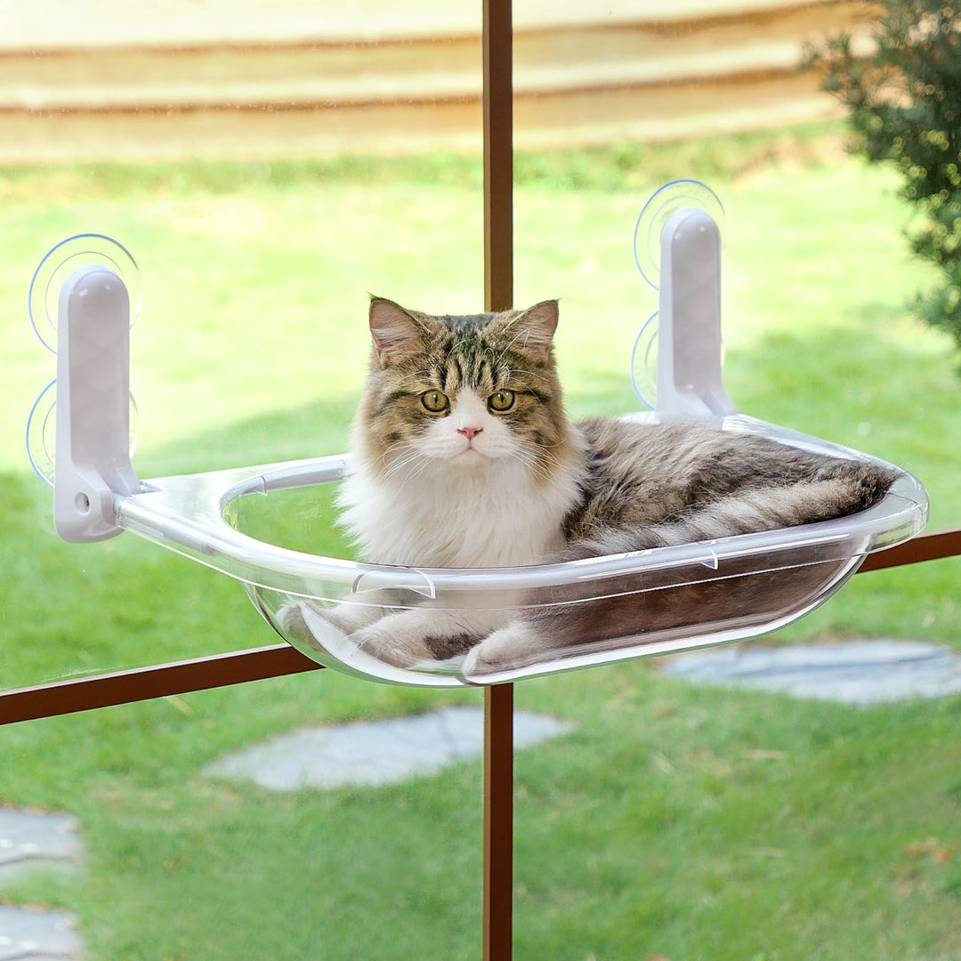 EDAGNY Raumkapsel TransparentFensterliege für Katzen Sonnenbaden Halt 10kg Transparent M-mit mat, Tr