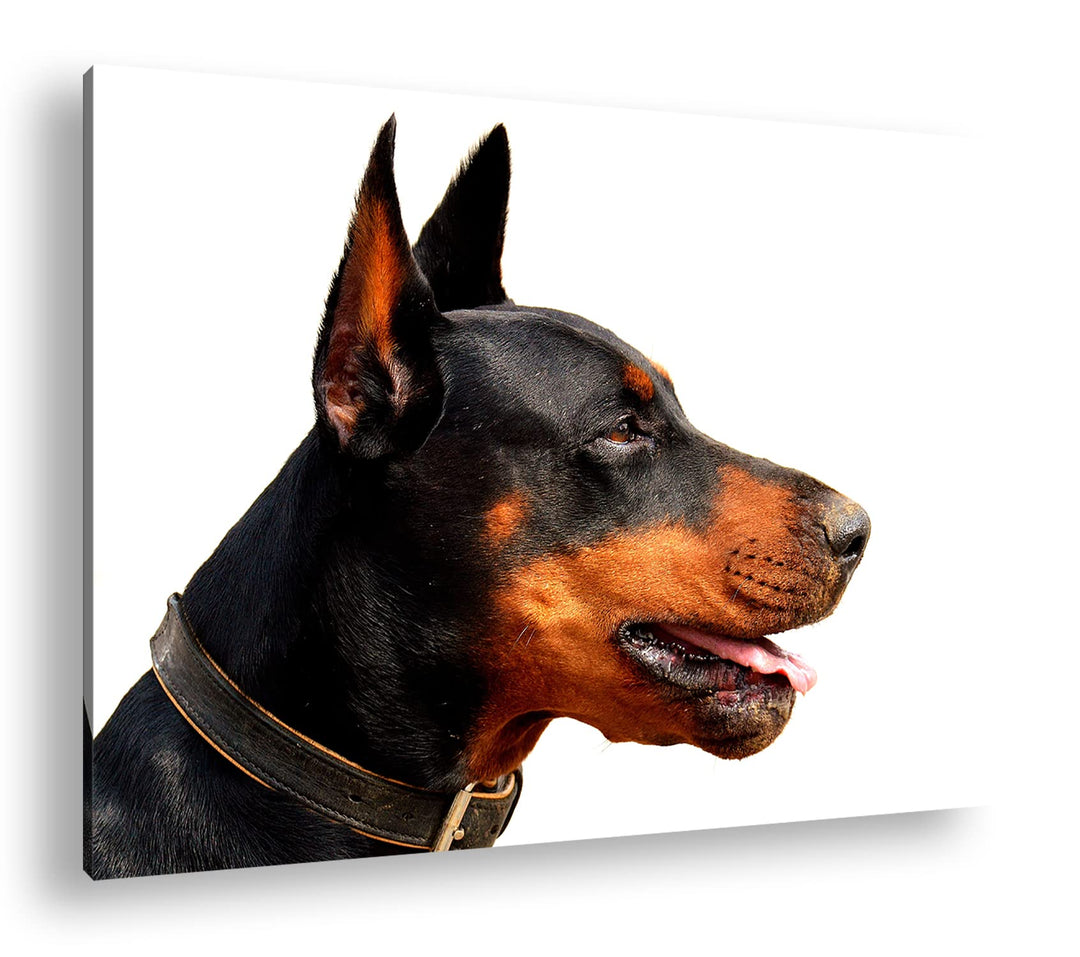 deyoli Portrait eines Dobermannes Format: 100x70 als Leinwand, Motiv fertig gerahmt auf Echtholzrahm