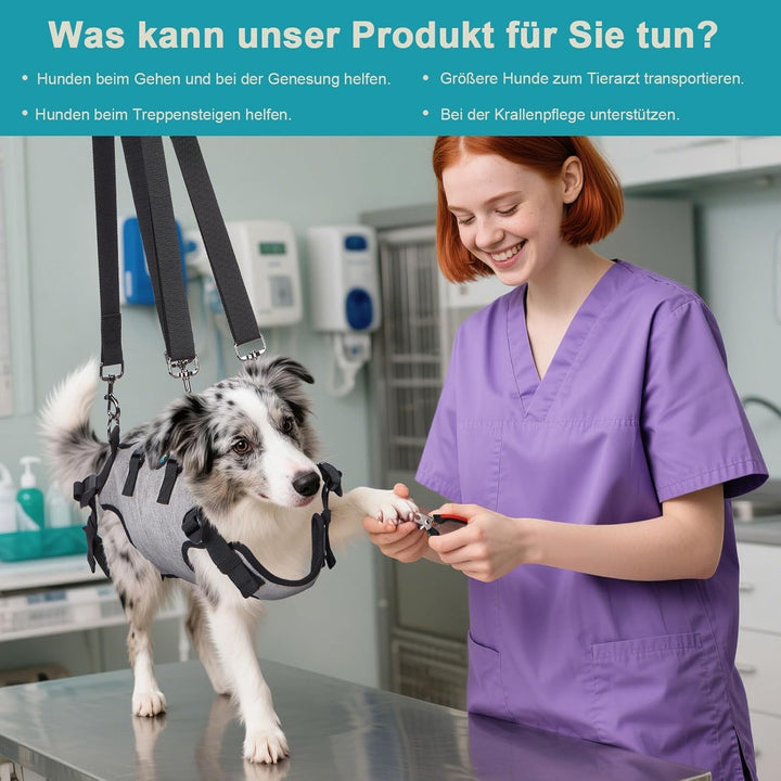 Ownpets Tragehilfe Geschirr, Hebegeschirr, Tragtuch für grosse Hunde, Ganzkörpergeschirr, Tragetasch